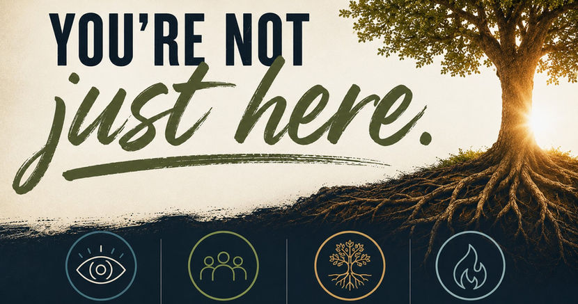 You're Not Just Here - Needed